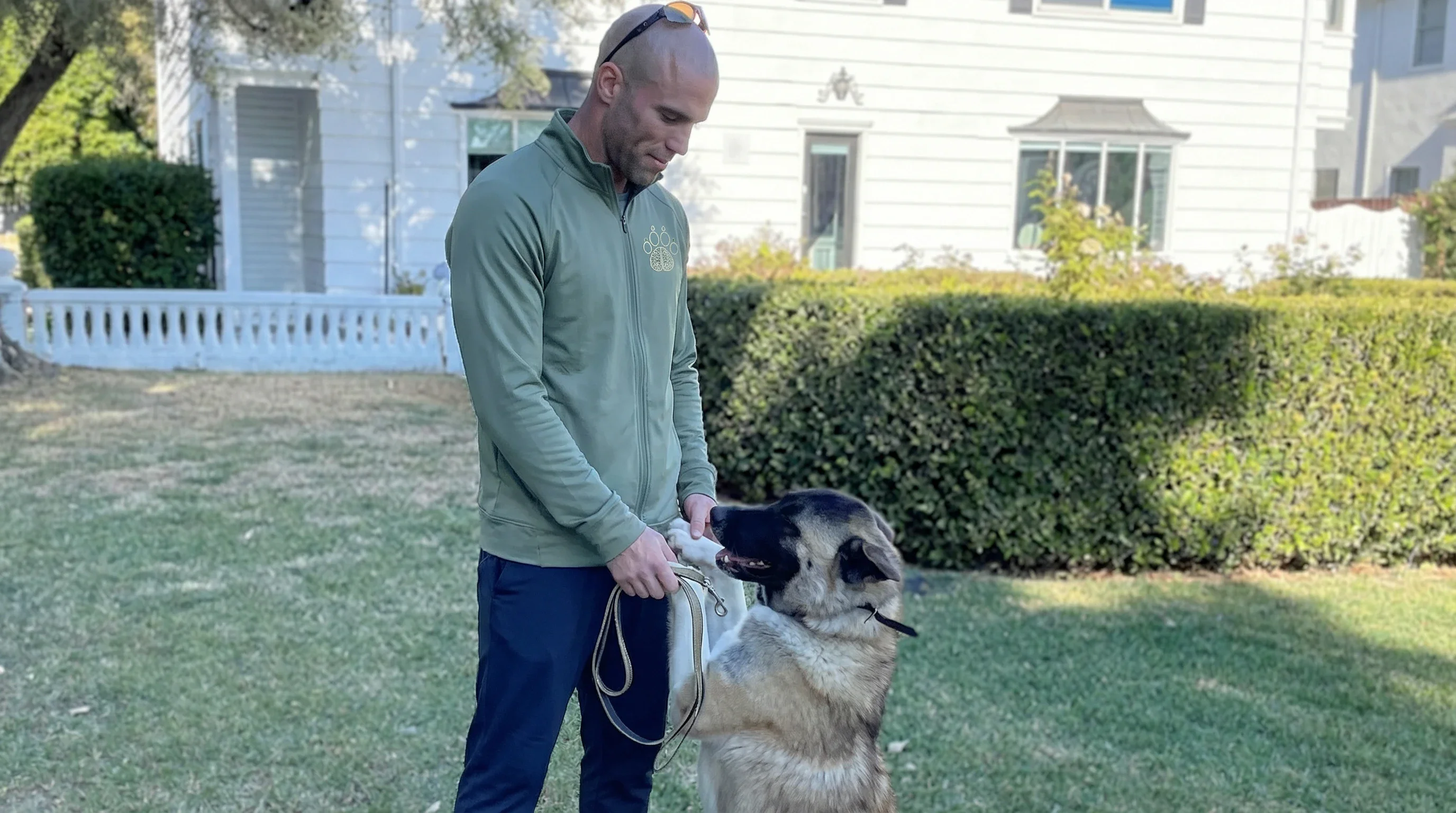 Breed Matching: It’s About Your Life, Not Just The Leash