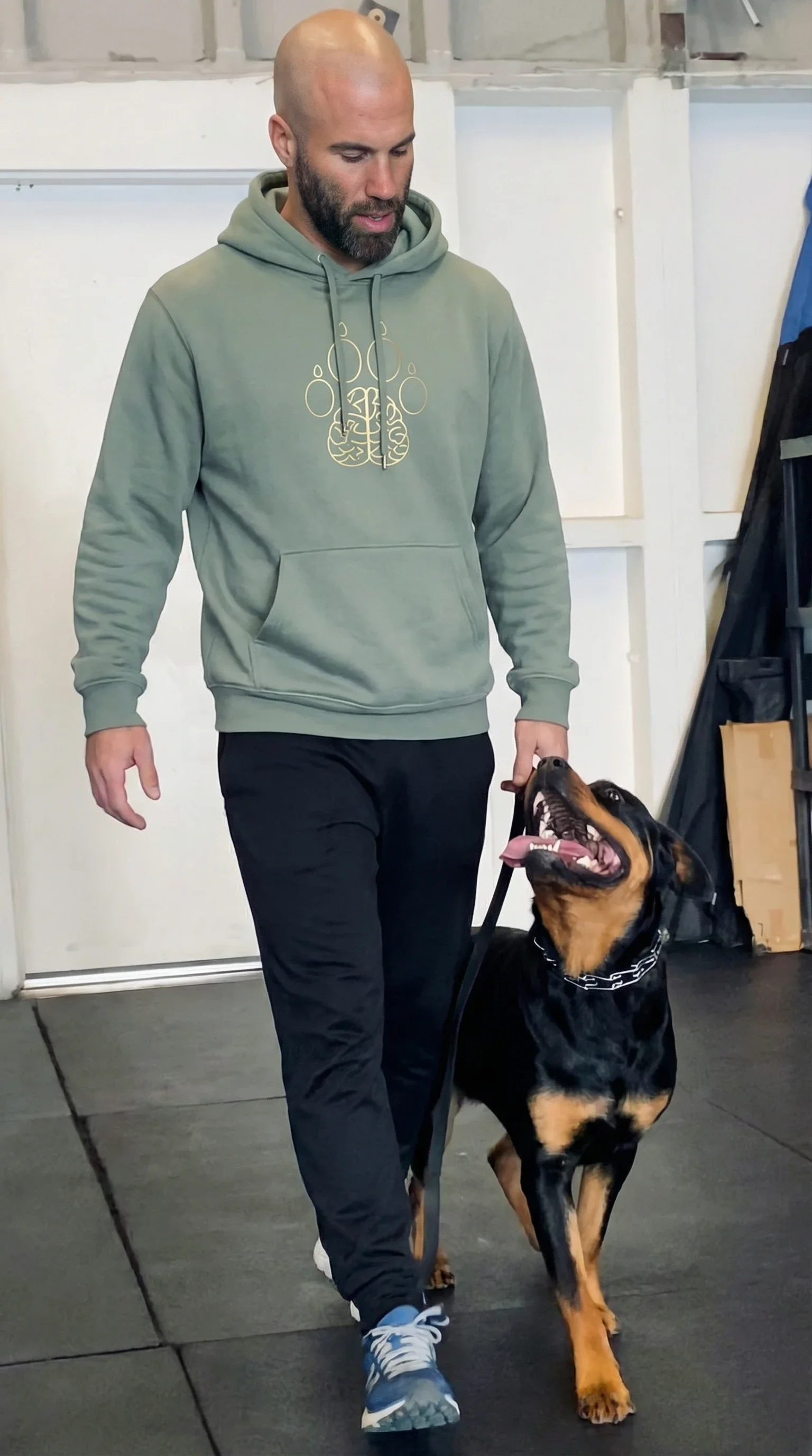 The Key Socialization Window: An 8-Week to 2-Year Guide