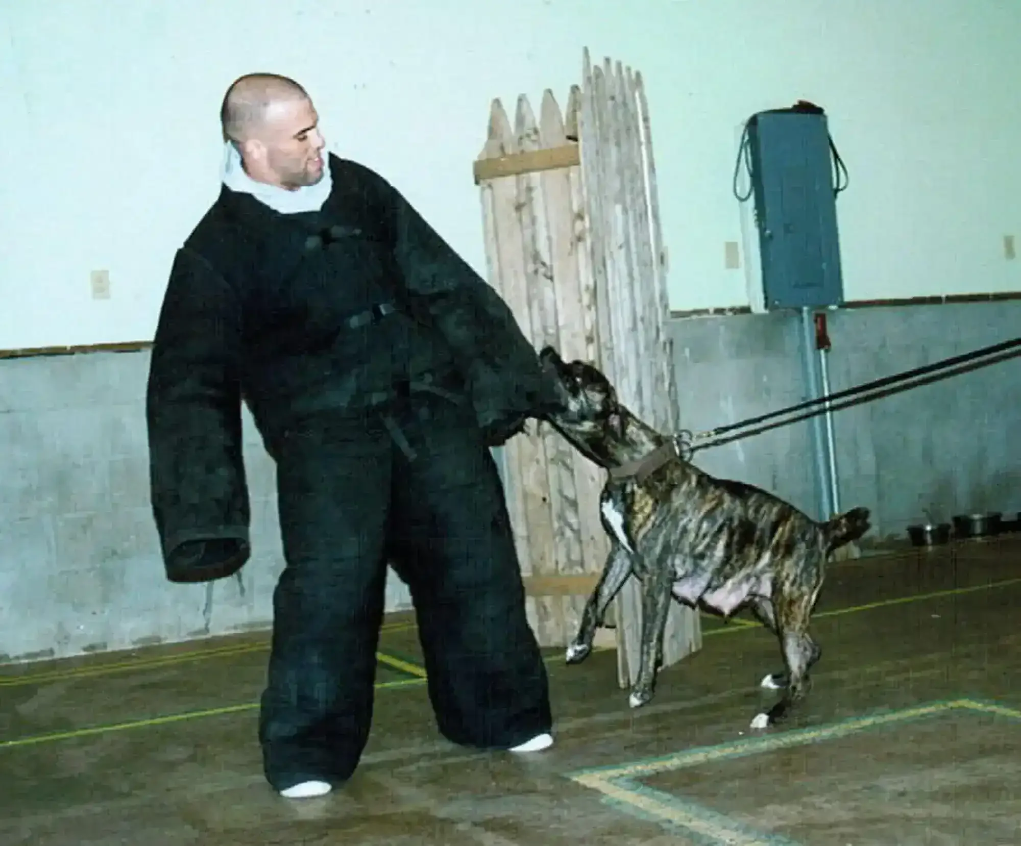 The Beginning: A Passion Ignited