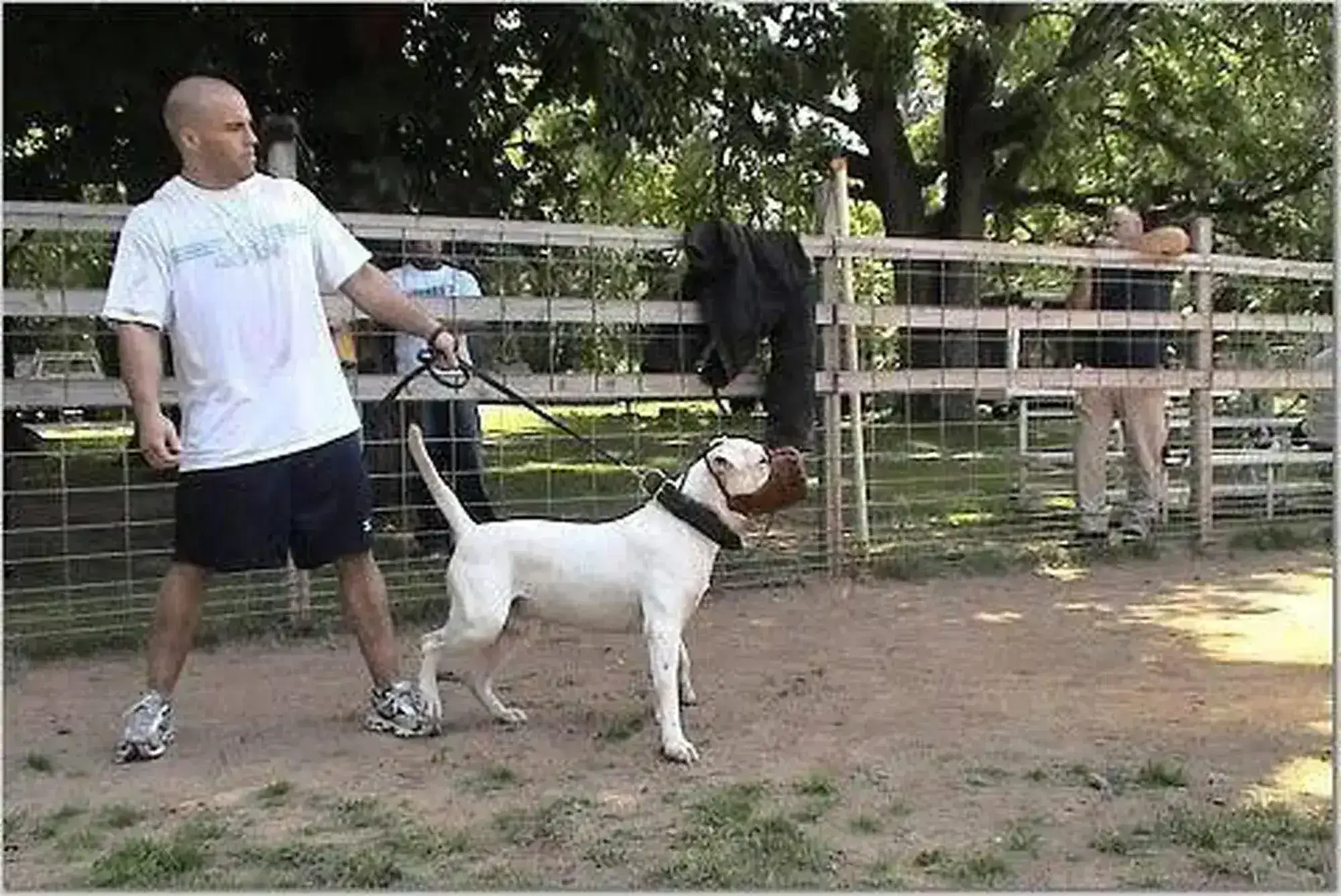 The Loss: A Breaking Point That Led Forward