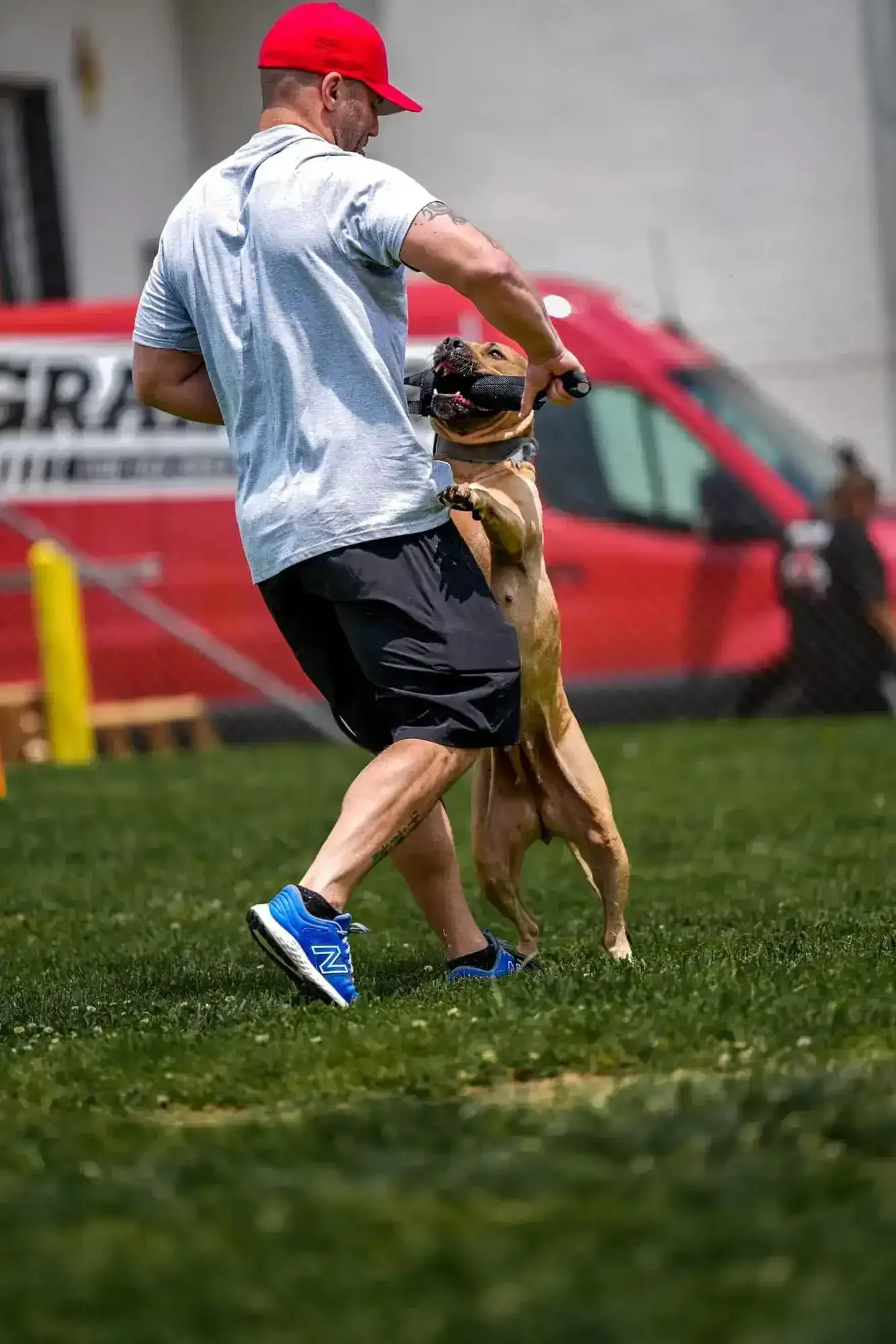 Honey & The Discovery: Science Becomes Reality