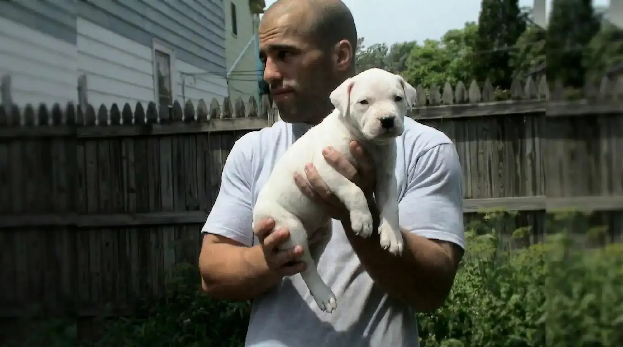 Diemus Arrives: The Partnership